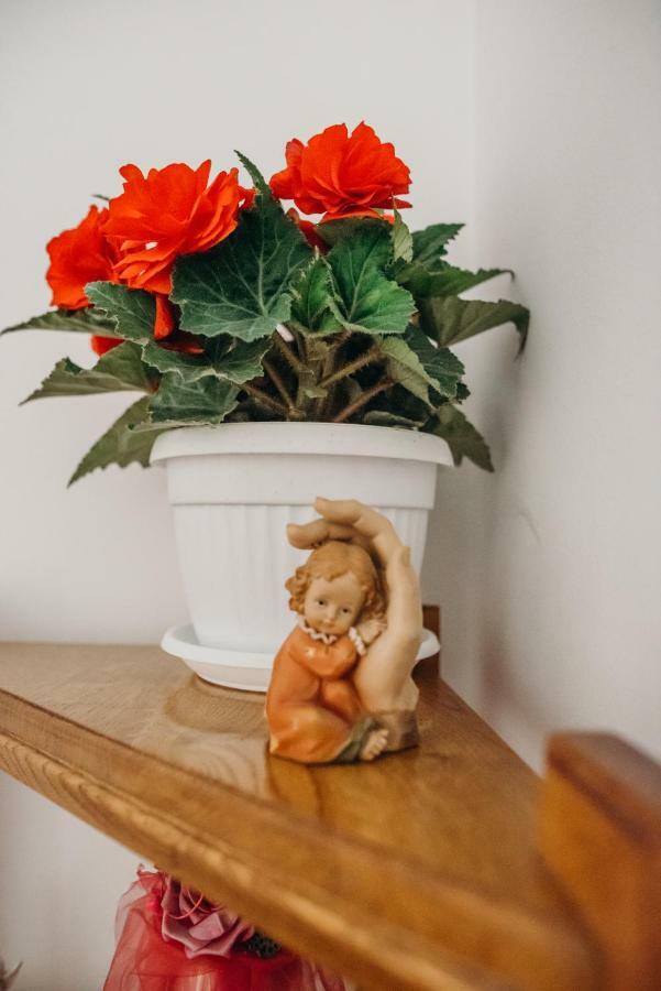Apartman "Joka" Dakovo Luaran gambar