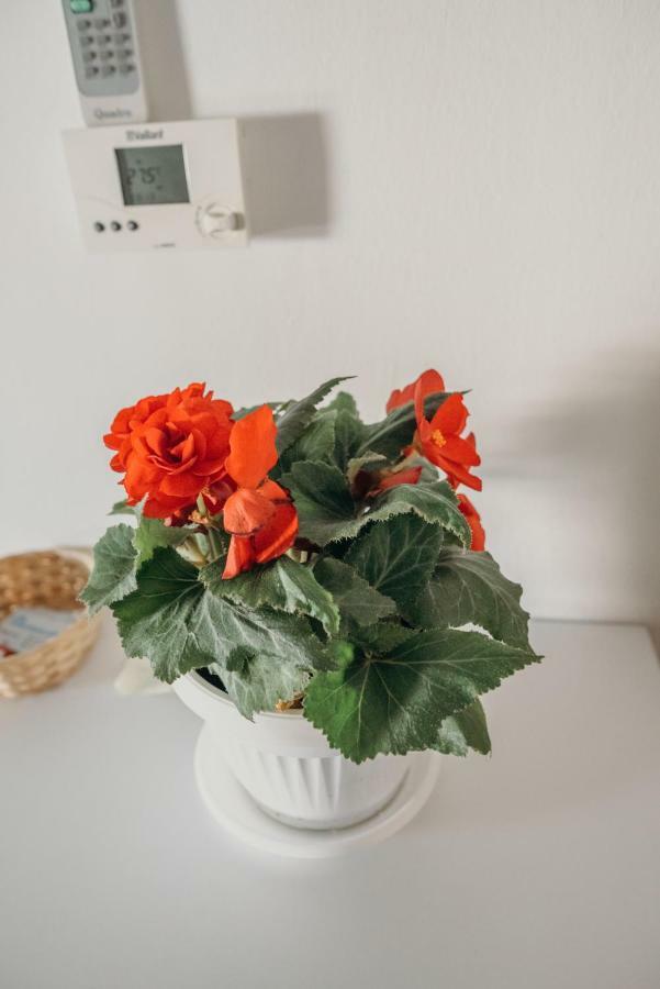 Apartman "Joka" Dakovo Luaran gambar