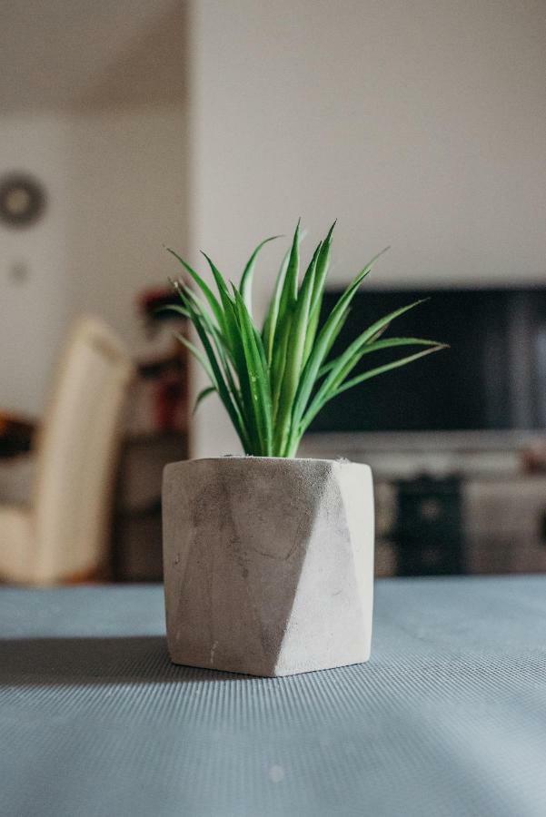 Apartman "Joka" Dakovo Luaran gambar