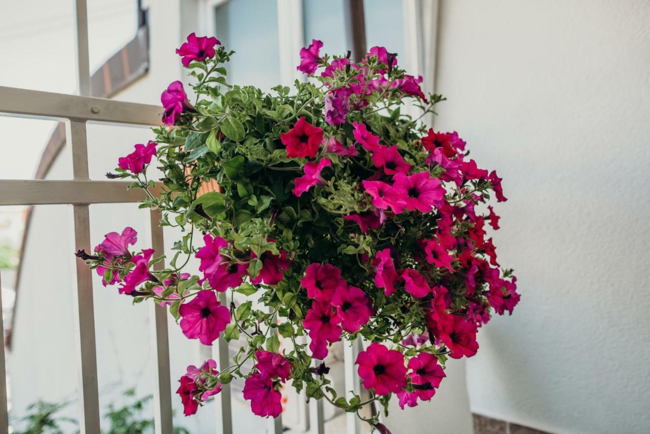 Apartman "Joka" Dakovo Luaran gambar
